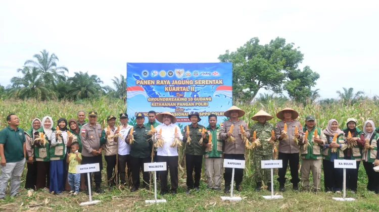 Tekan Inflasi Daerah, Polres Subulussalam Masifkan Pendampingan Petani Jagung