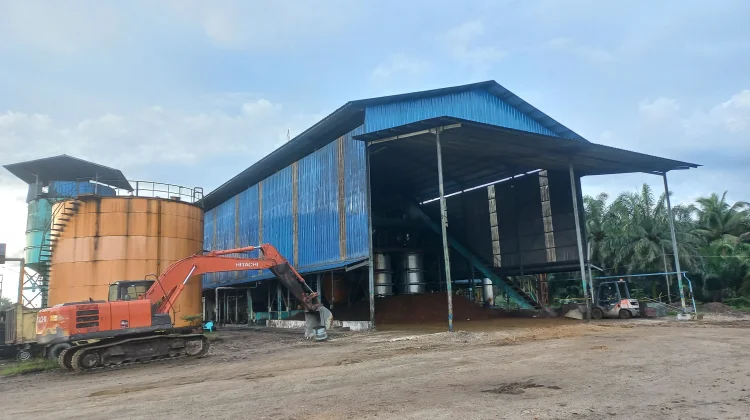 Naikkan Harga Brondolan Jadi Rp4.350, PT Bensuli Minta Supplier Jaga Kualitas
