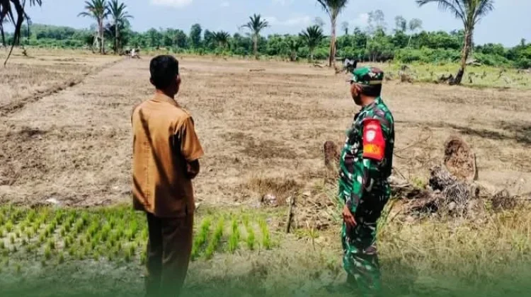 TNI dan Perangkat Desa, Pantau Persiapan Lahan Pertanian Ketahan Pangan di Singkil