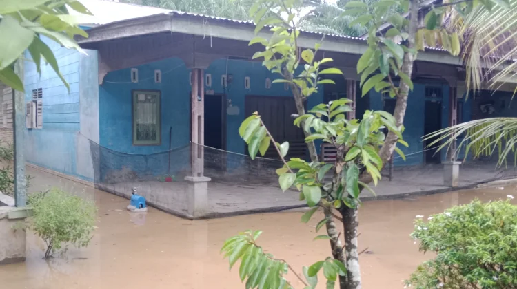 Air Sungai Meluap, Rumah dan Pemukiman Warga di Aceh Singkil Mulai Terendam