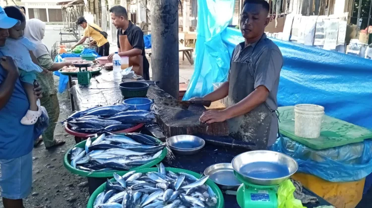 Harga Ikan di Singkil Naik Jelang Idul Adha
