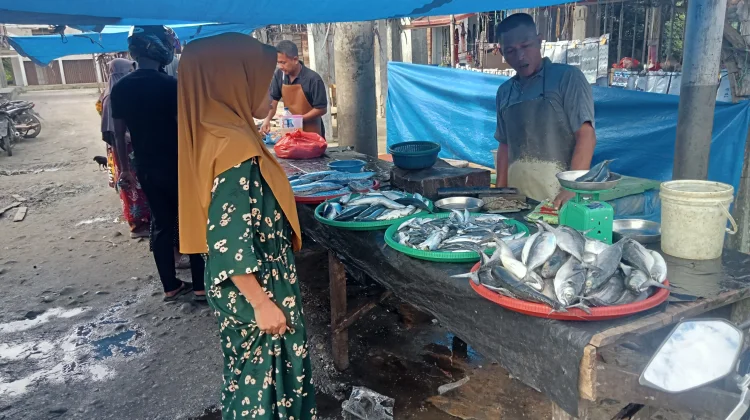 Cuaca Buruk Harga Ikan Laut diSingkil Melonjak
