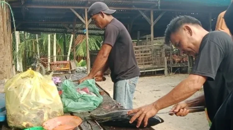 Jelang Idul Adha, Harga Ikan di Singkil Melambung