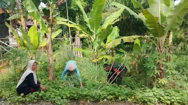 Tekan Biaya Dapur, Warga Rundeng Didorong Sulap Lahan Kosong Jadi Kebun Produktif
