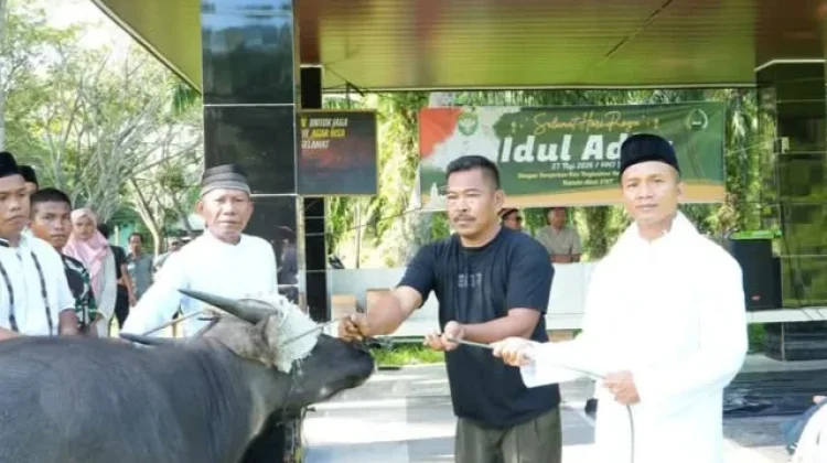 Dandim Aceh Singkil Serahkan Satu Ekor Sapi Kurban