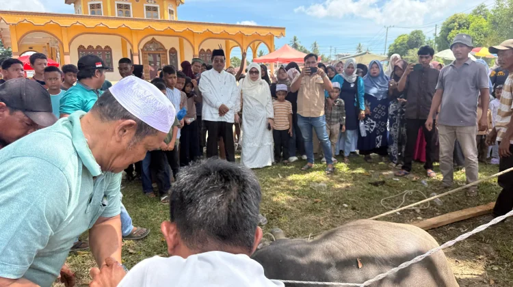 Serahkan Hewan Kurban, Bupat Singkil: Selain Ibadah juga Bentuk Kepedulian Sosial