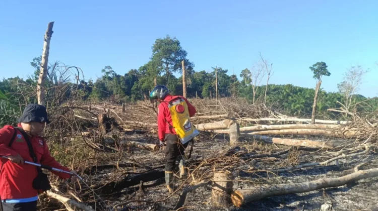 Angin Kencang dan Karhutla Landa Tiga Wilayah di Sumatra