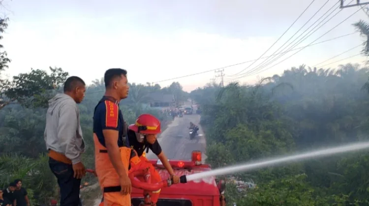 Cuaca Panas, Karhutla Mulai Terjadi di Aceh Singkil