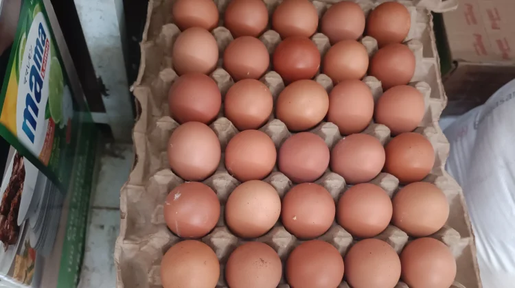 Harga Telur di Aceh Singkil Mulai Turun
