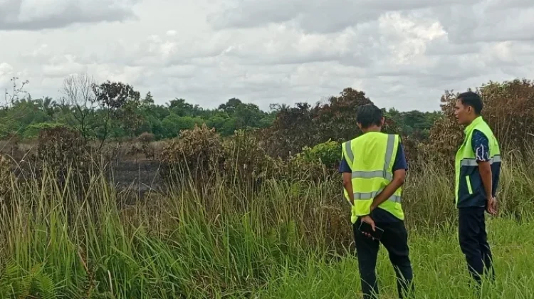 Lahan Bandara Syekh Hamzah Fansuri Singkil Terbakar