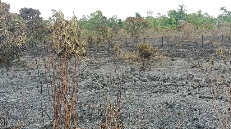 Seluas 2,5 Hektare Lahan Bandara di Aceh Singkil Terbakar