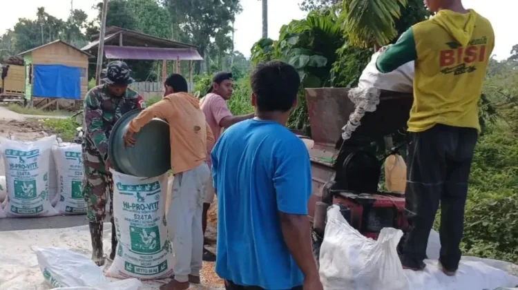 Mesin Perontok dan Kolaborasi TNI Percepat Distribusi Jagung di Subulussalam