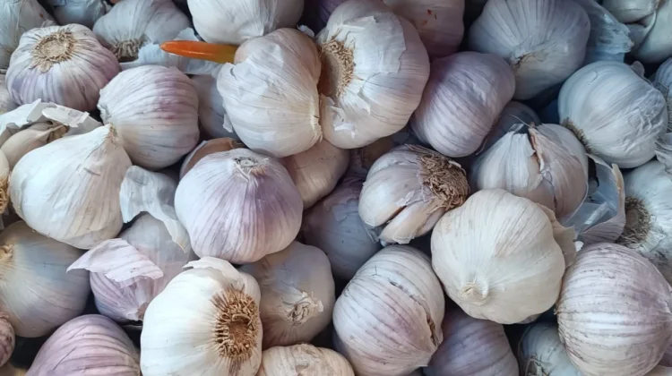 Harga Bawang Putih di Aceh Singkil Meroket