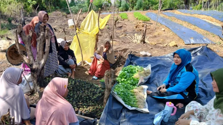 PKK Subulussalam Dorong Ekonomi Perempuan lewat Program Pekarangan Pangan