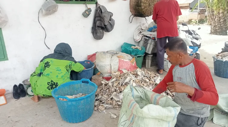 Cuaca Cerah Dongkrak Produksi dan Daya Beli Ikan Asin