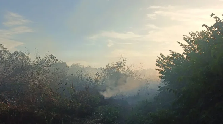 Kemarau Panjang Bakar Gambut 5 Hektare di Subulussalam, Pemadaman Terus Dilakukan