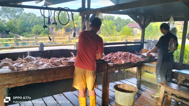 Harga Ayam Potong Merosot Saat Libur, Stok di Pasaran Melimpah