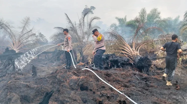 Kebakaran Lahan Gambut di Subulussalam Mulai Padam