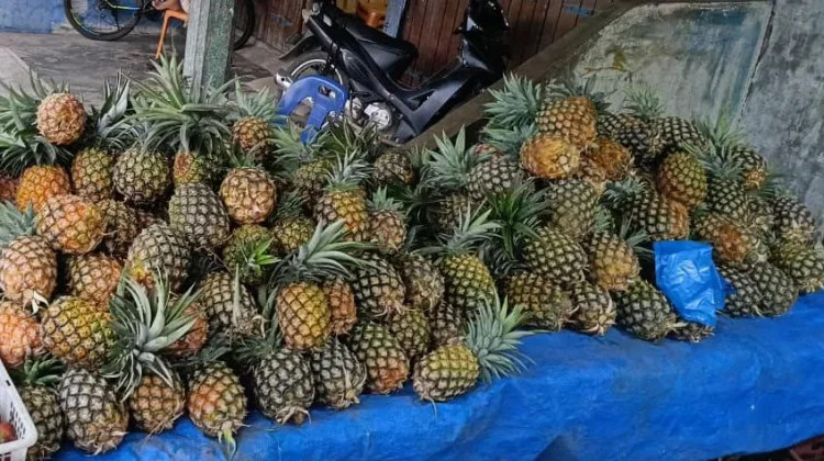 Sering Dapat Nanas Asam? ternyata Ini Rahasianya Biar Nggak Salah Pilih