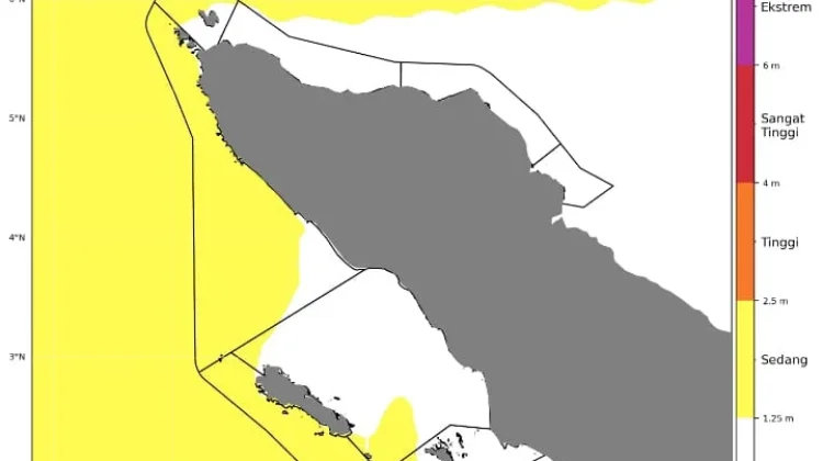 Waspada! Ketinggian Gelombang Perairan Aceh Singkil Diprediksi 1,25-2,5 Meter