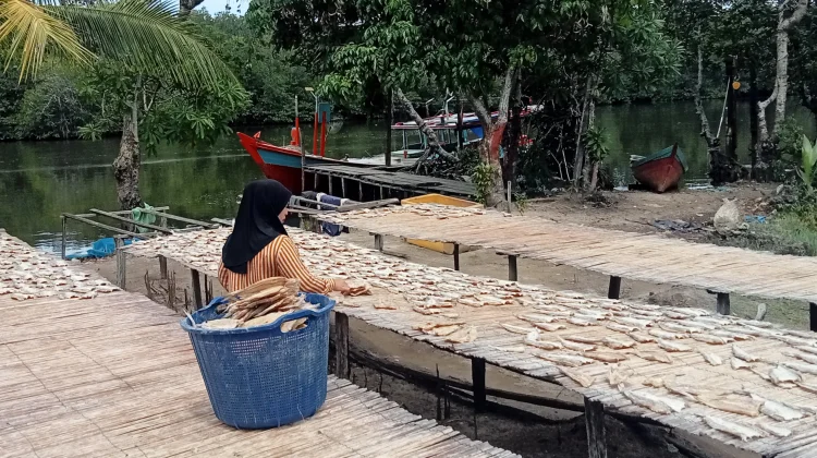 Usaha Pengolahan Ikan Asin di Singkil Raup Cuan