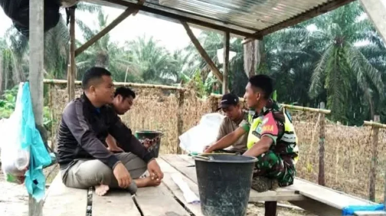Babinsa Dampingi Petani Wujudkan Penguatan Ketahanan Pangan Desa
