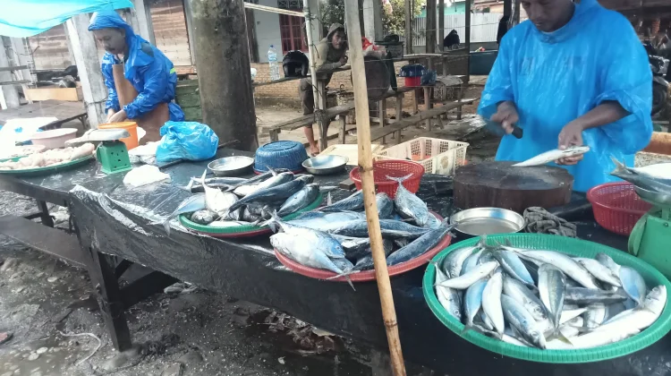 Pasar Ikan Aceh Singkil Lesu meski Harga Stabil