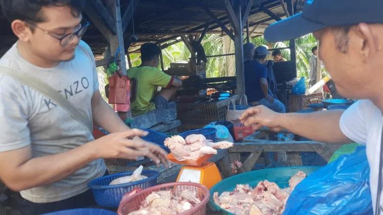 Harga Ayam di Aceh Singkil Melonjak, Pedagang Keluhkan Penjualan Sepi