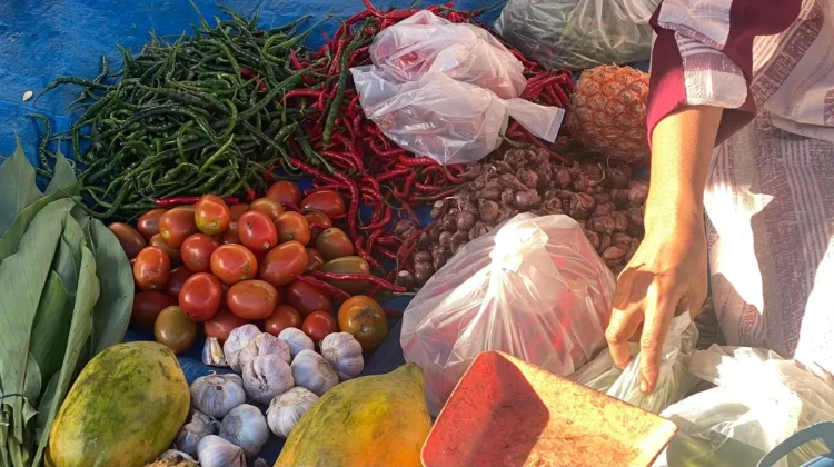 Cek Harga Kebutuhan Pokok di Aceh Singkil