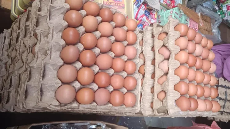 Cek Harga Telur di Aceh Singkil