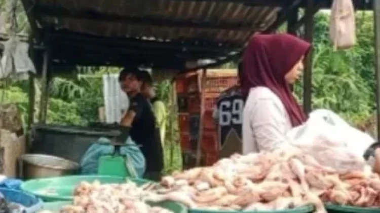 Harga Daging Ayam Broiler di Singkil Naik Lagi