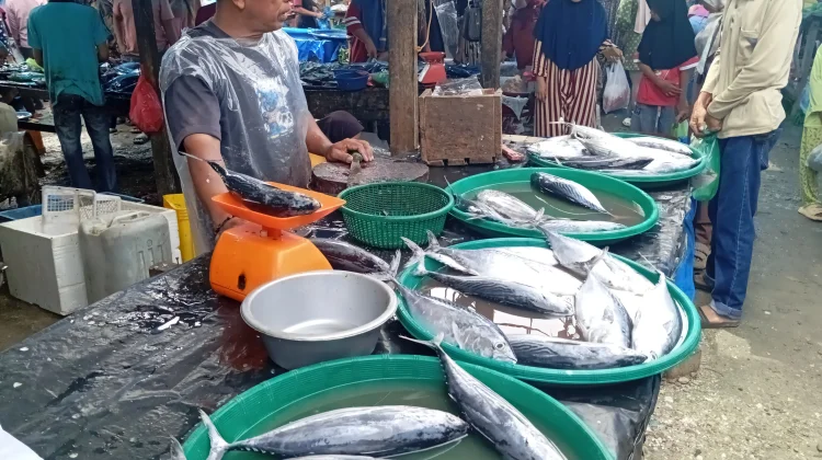 Harga Ikan di Singkil Terus Mengalami Kenaikan