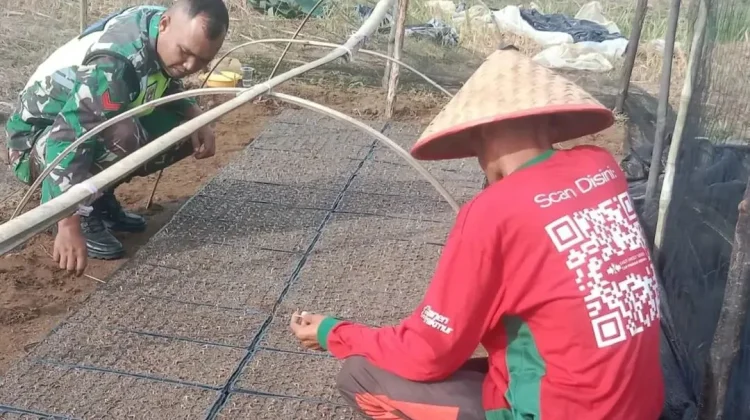 Manfaatkan Lahan Sederhana, Petani Subulussalam Rintis Usaha Semangka