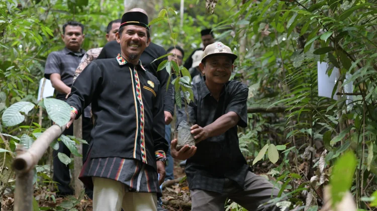 Dirjen Perhutanan Sosial Siap Turunkan Tim Verifikasi Hutan Adat di Subulussalam