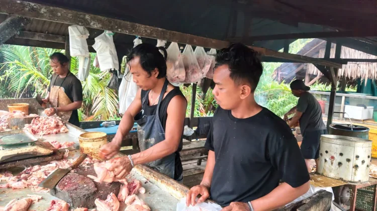 Harga Ayam di Singkil Tembus Rp52 Ribu Per Kilogram