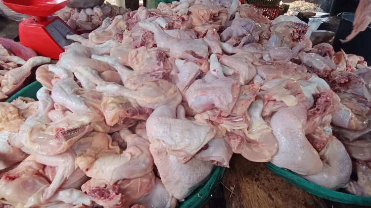 Harga Ayam di Pasar Sianjo-Anjo Naik Rp65 Ribu per Kilo