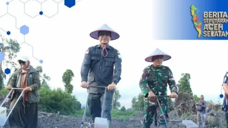 Perkuat Ketahanan Pangan, Pemkab Aceh Selatan Kembangkan Tanaman Padi Gogo