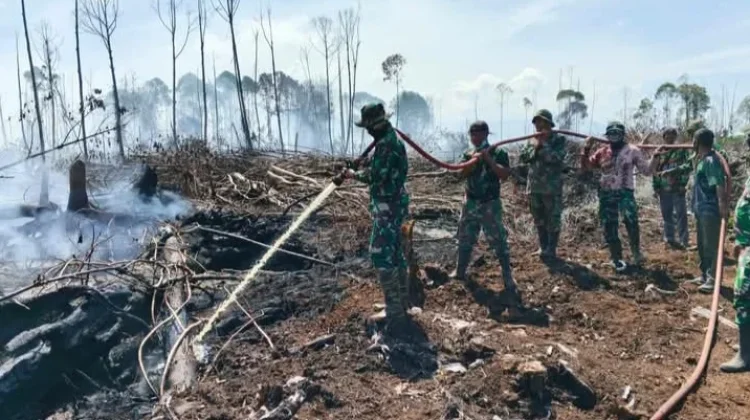 Tim Gabungan Padamkan Kebakaran Hutan dan Lahan di Aceh Selatan