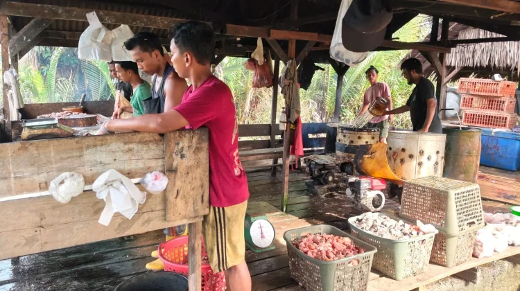 Harga Daging Ayam Ras di Aceh Singkil Rp53 Ribu Per Kilogram