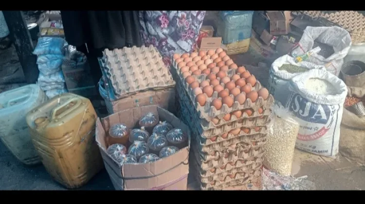 Harga Telur Ayam Ras di Aceh Singkil Stabil di Rp50 Ribu Per Papan
