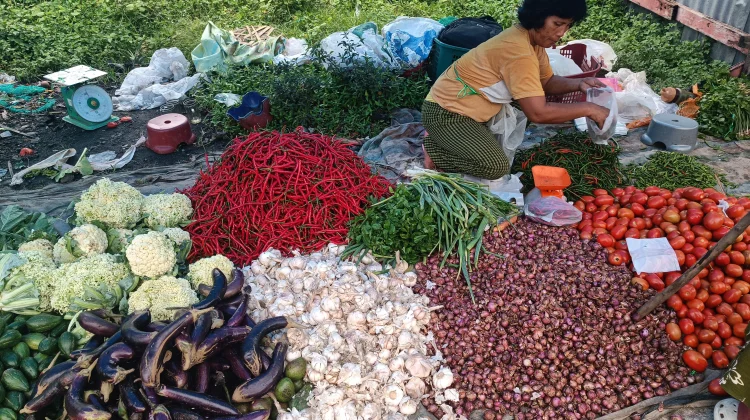 Update Harga Pangan di Aceh Singkil Sabtu 12 September 2026