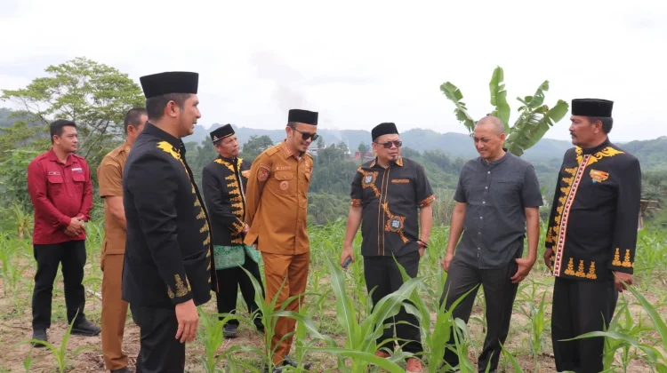 Sekolah Rakyat Ketiga di Aceh Segera Dibangun di Subulussalam