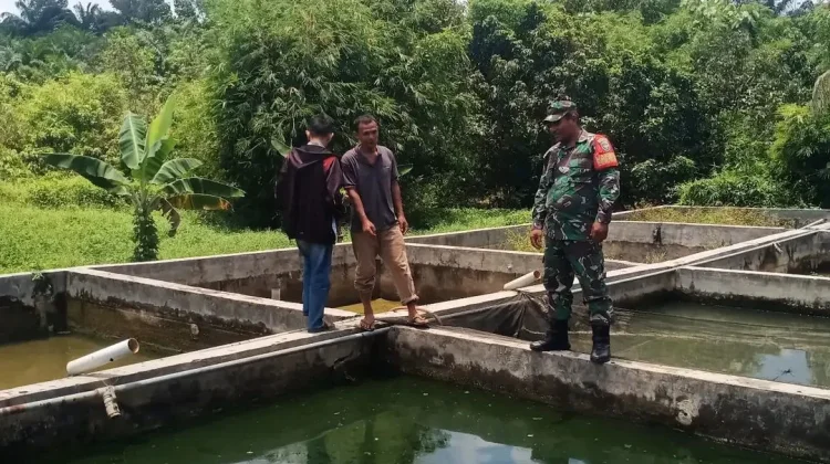 TNI Dampingi Pengecekan Benih Ikan di Subulussalam untuk Perkuat Pangan Lokal