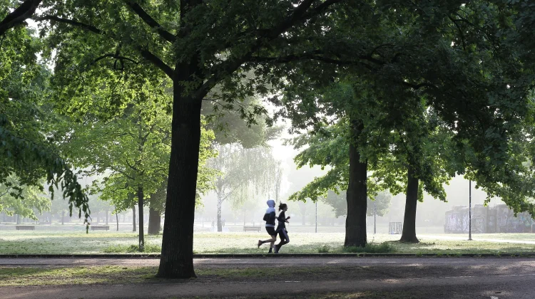 Studi: Jogging 10 Menit Bantu Tingkatkan Fokus dan Suasana Hati