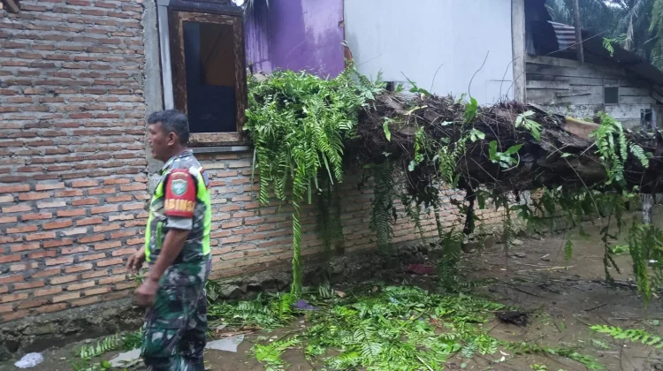 Angin Kencang Robohkan Pohon di Simpang Kanan, Satu Rumah Penduduk Rusak Berat