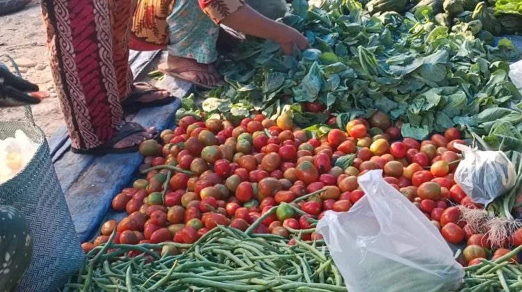 Harga Pangan di Aceh Singkil Melonjak, Cabai Merah Rp100 Ribu per Kilogram