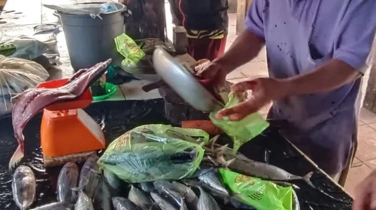 Catat! Ini Daftar Harga Ikan di Aceh Singkil