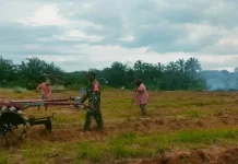 Petani di Subulussalam Kelola Lahan Semangka dengan TNI