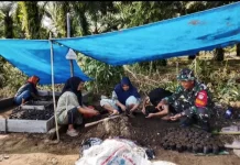 Dukung Ketahanan Pangan, Babinsa Bantu Pembibitan Cabai Warga