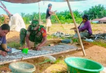 Sabariadi Olah Lahan Semangka Demi Dongkrak Ekonomi Keluarga